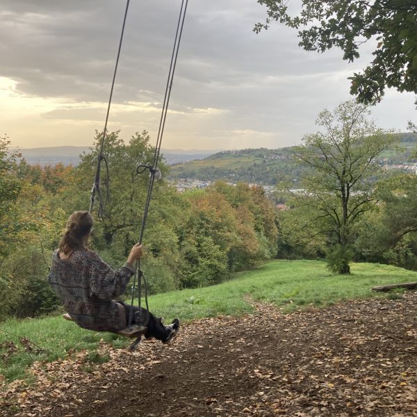 Blick über Lörrach