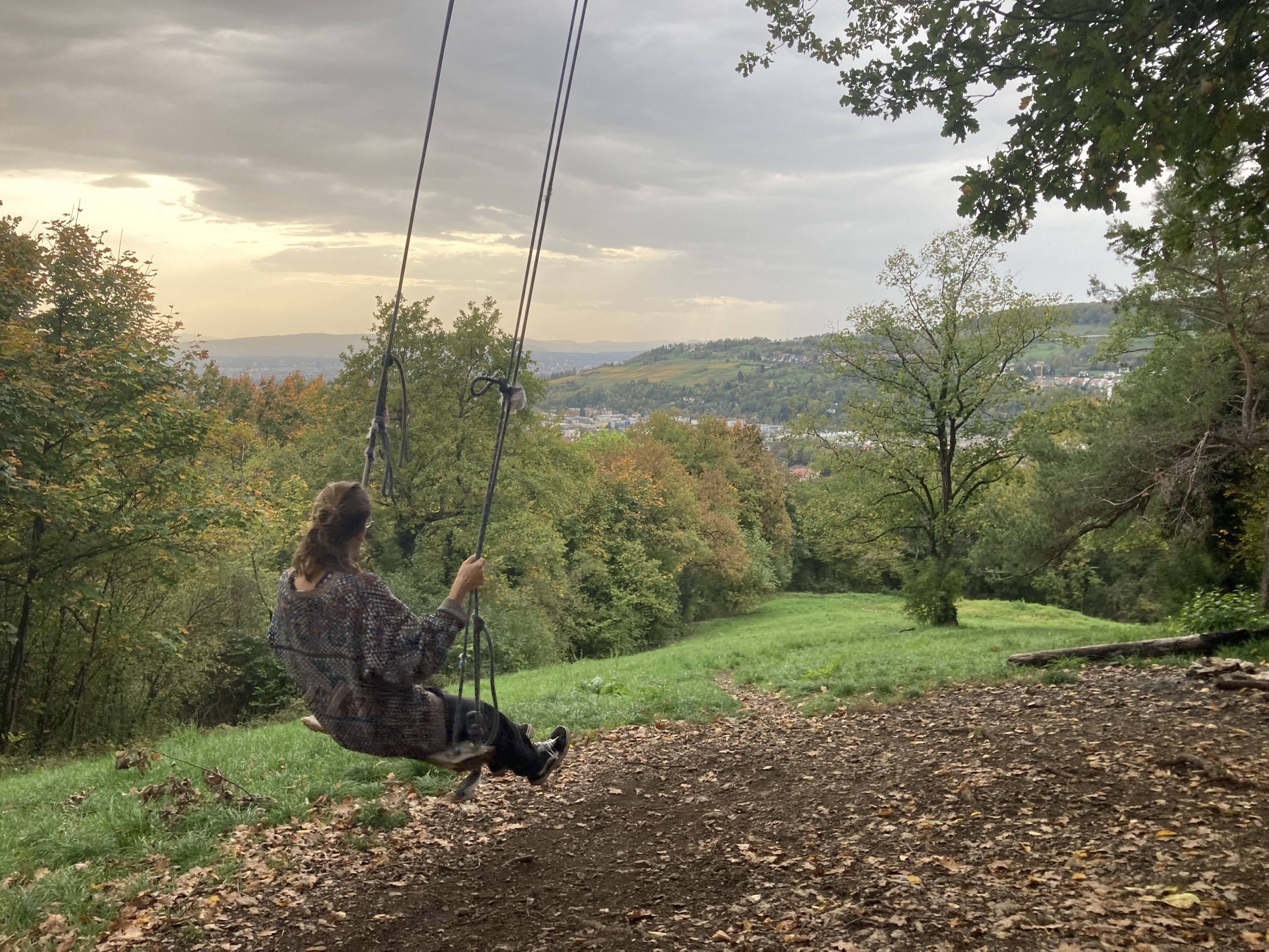 Blick über Lörrach